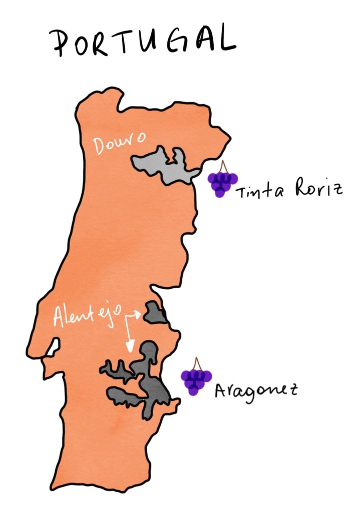 Tinta Roriz, Tempranillo