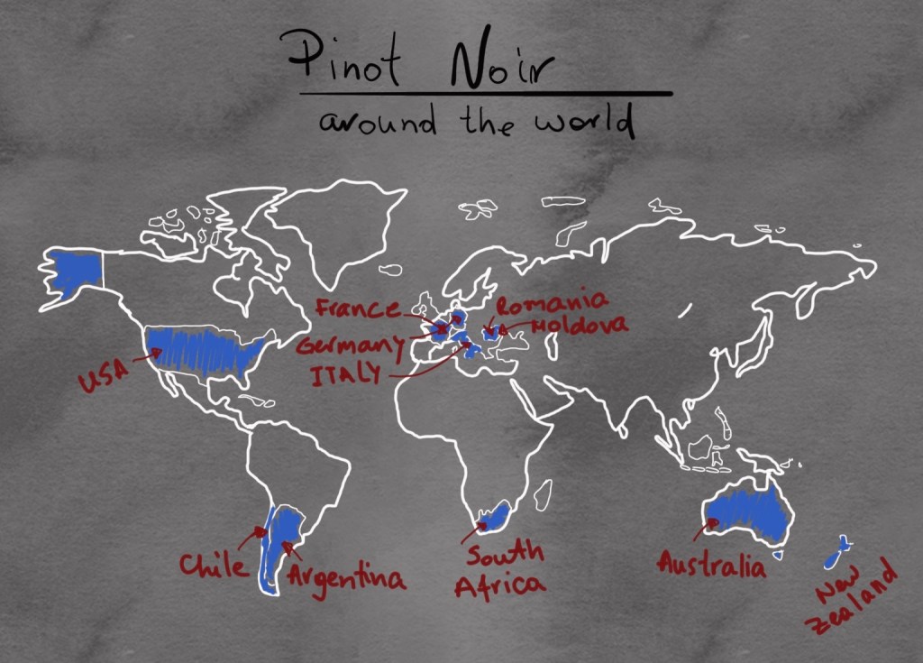 Pinot noir map