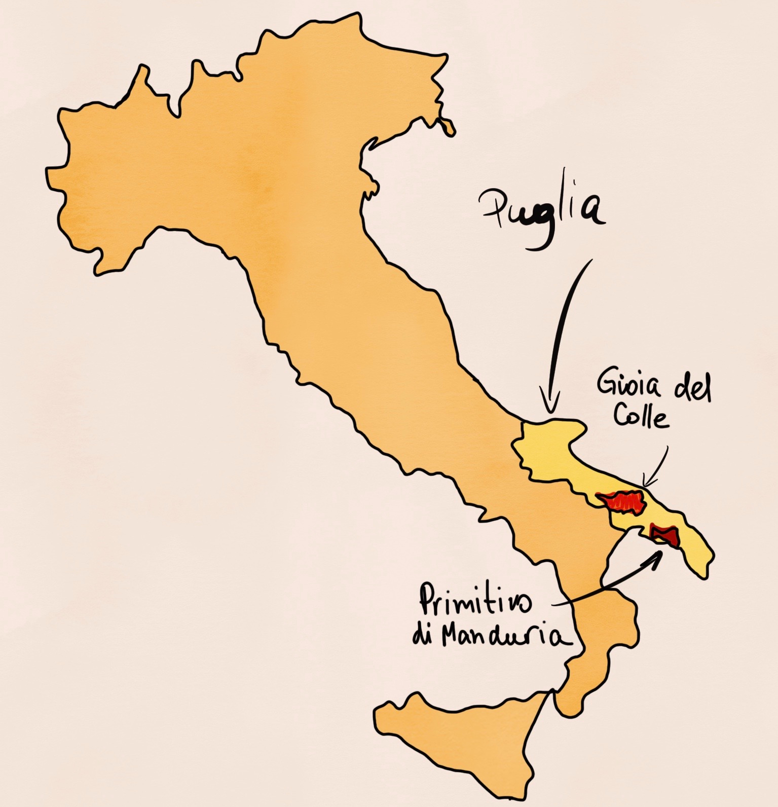 Primitivo, Zinfandel, Puglia, Italy, wine, red wine