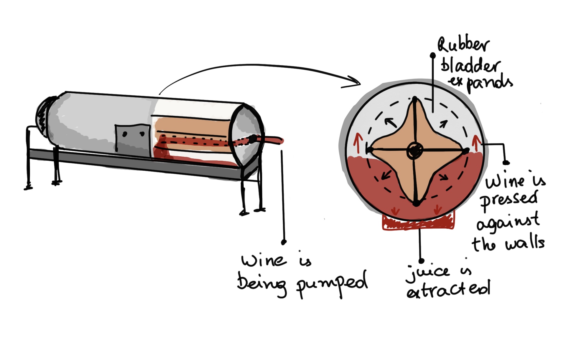 bladder press, winemaking, wine producing, red wine, wine press