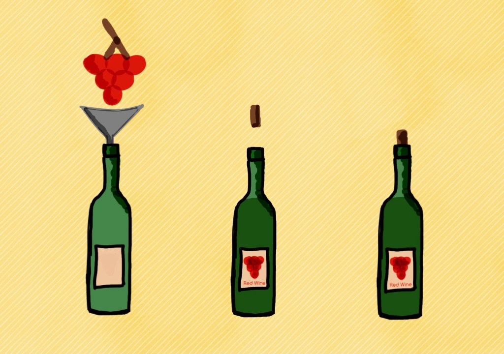 red wine, French wine, oak barrel, grapes, wine, how wine is made, how red wine is made, wine production method, bladder press, harvesting