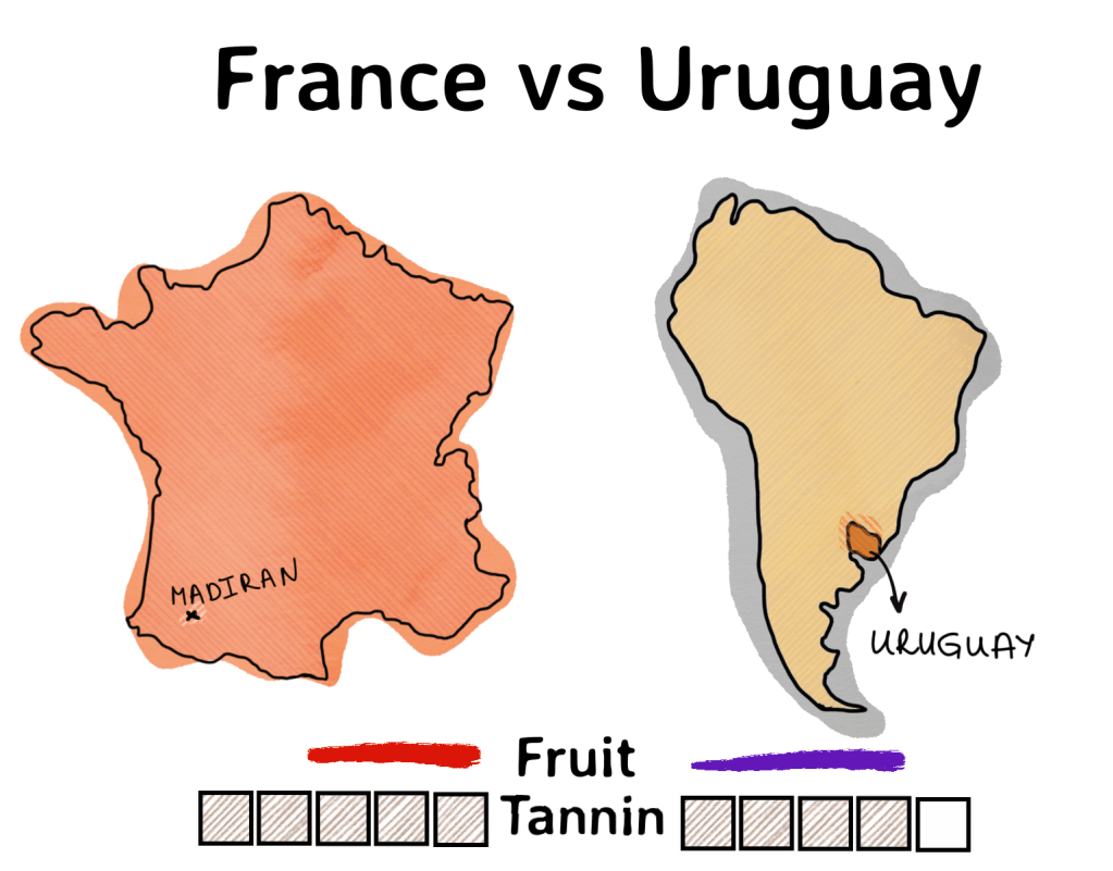 Uruguay wine, garzon, garzon wine, French wine, France, red wine, tannat, tannin, madiran