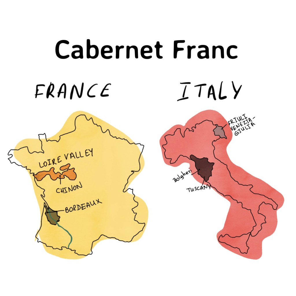 cabernet, cab, cabernet franc, cabernet sauvignon, bordeaux, France, French wine, vino rosso, vin, wine, italy, Italian wine, bolgheri, Tuscany, super tuscan, sassicaia, chinon, loire