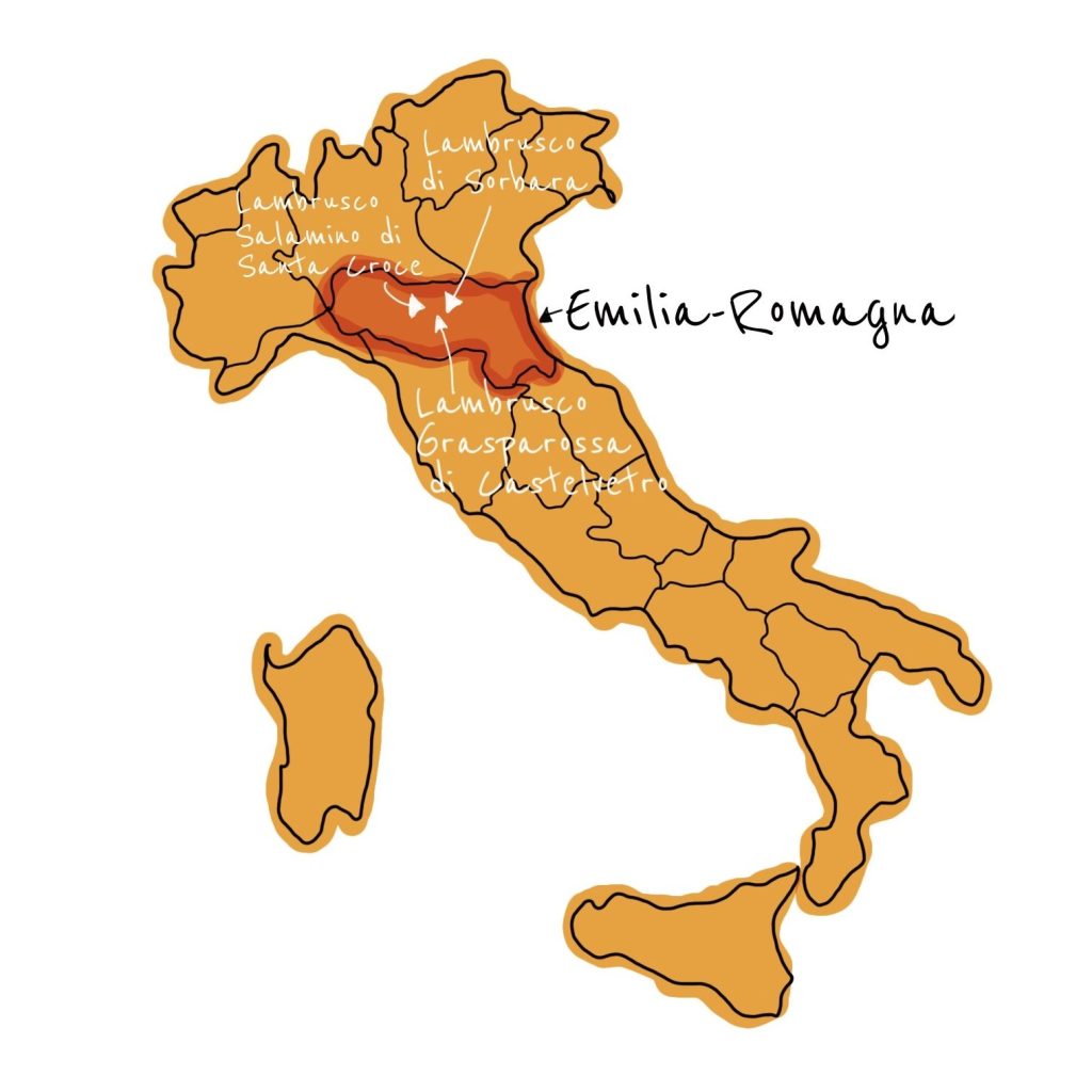 lambrusco, emilia romagna, italian wine, frizzante, sparkling wine, champagne, prosecco, cava