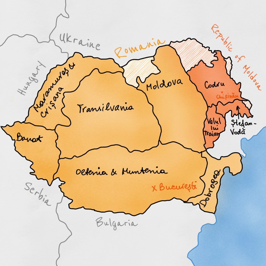 feteasca neagra, wine, vin, moldova, romania, vin moldovenesc, vin romanesc, vin rosu, red wine