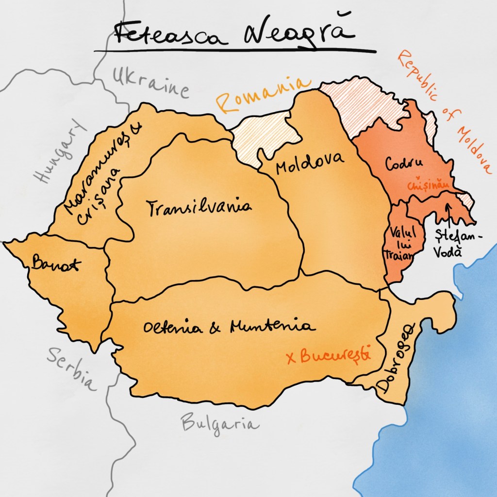 feteasca neagra, wine, vin, moldova, romania, vin moldovenesc, vin romanesc, vin rosu, red wine