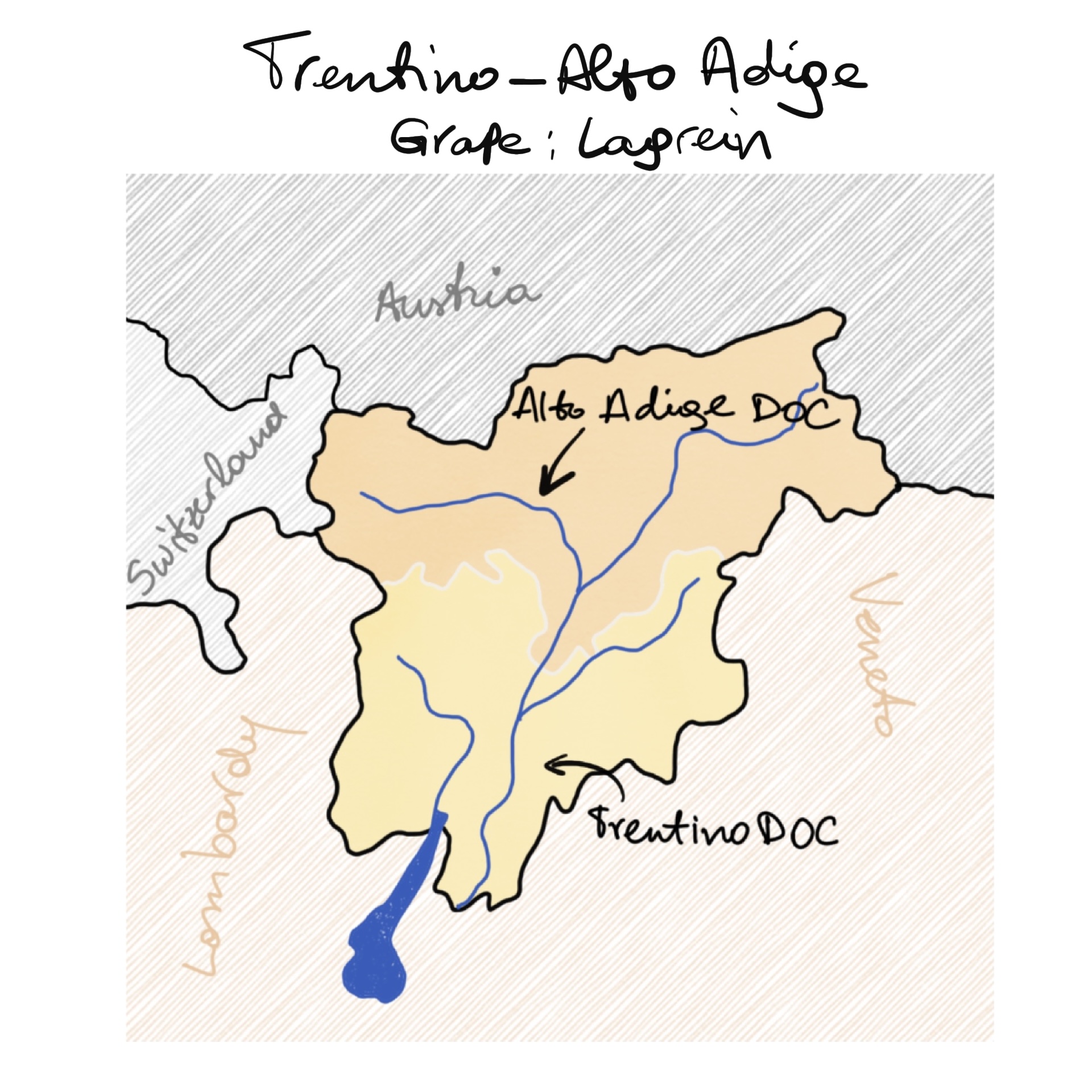Lagrein, italy, wine, italian wine, vino rosso, alto adige, trentino, trentino alto adige