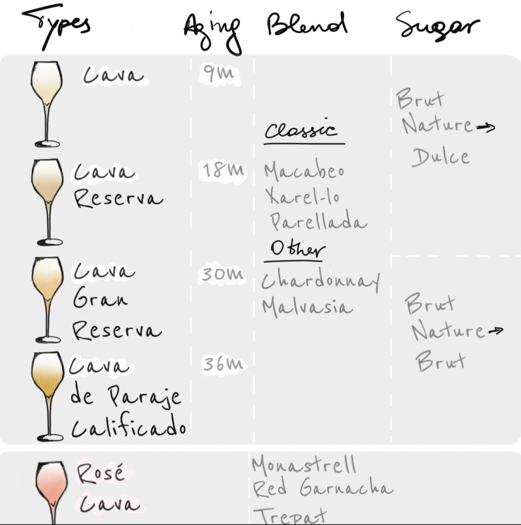 cava, spain, spanish wine, wine, spanish bubbles, champagne, traditional method, france, brut, extra brut, brut nature, rose, cava rose
