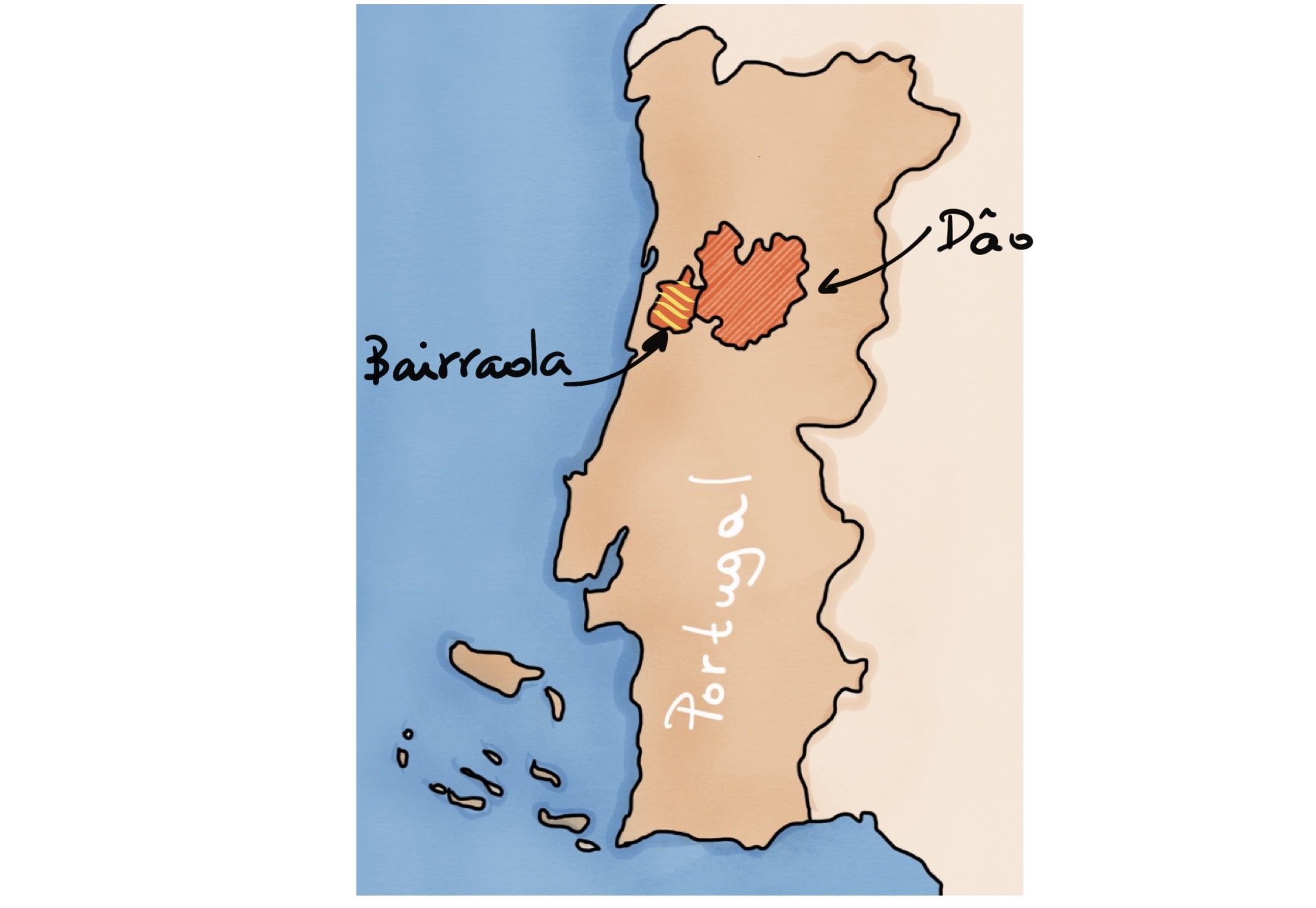 Baga, bairrada, dao, port, wine, red wine, portugal, portuguese wine
