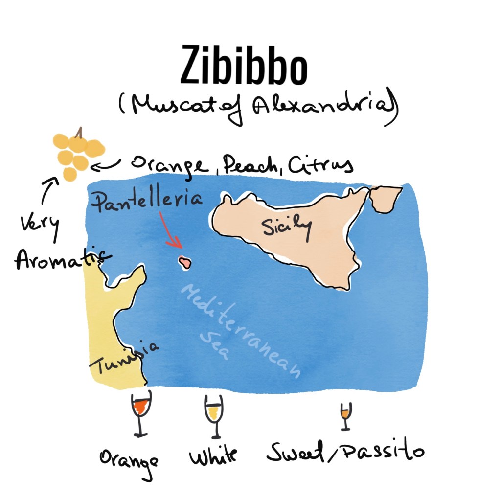 Zibibbo, sicily, muscat of alexandria, muscat, white wine, crudo, italian wine, italy, floral, aromatic