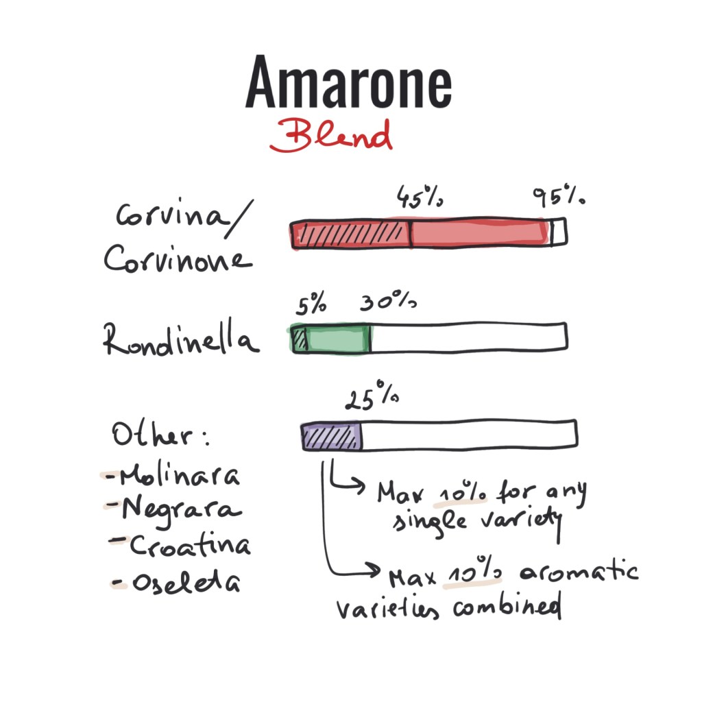 amarone, amarone della valpolicella, valpolicella, corvina, rondinella, milinara, veneto, red wine, wine, veneto wine, italian wine