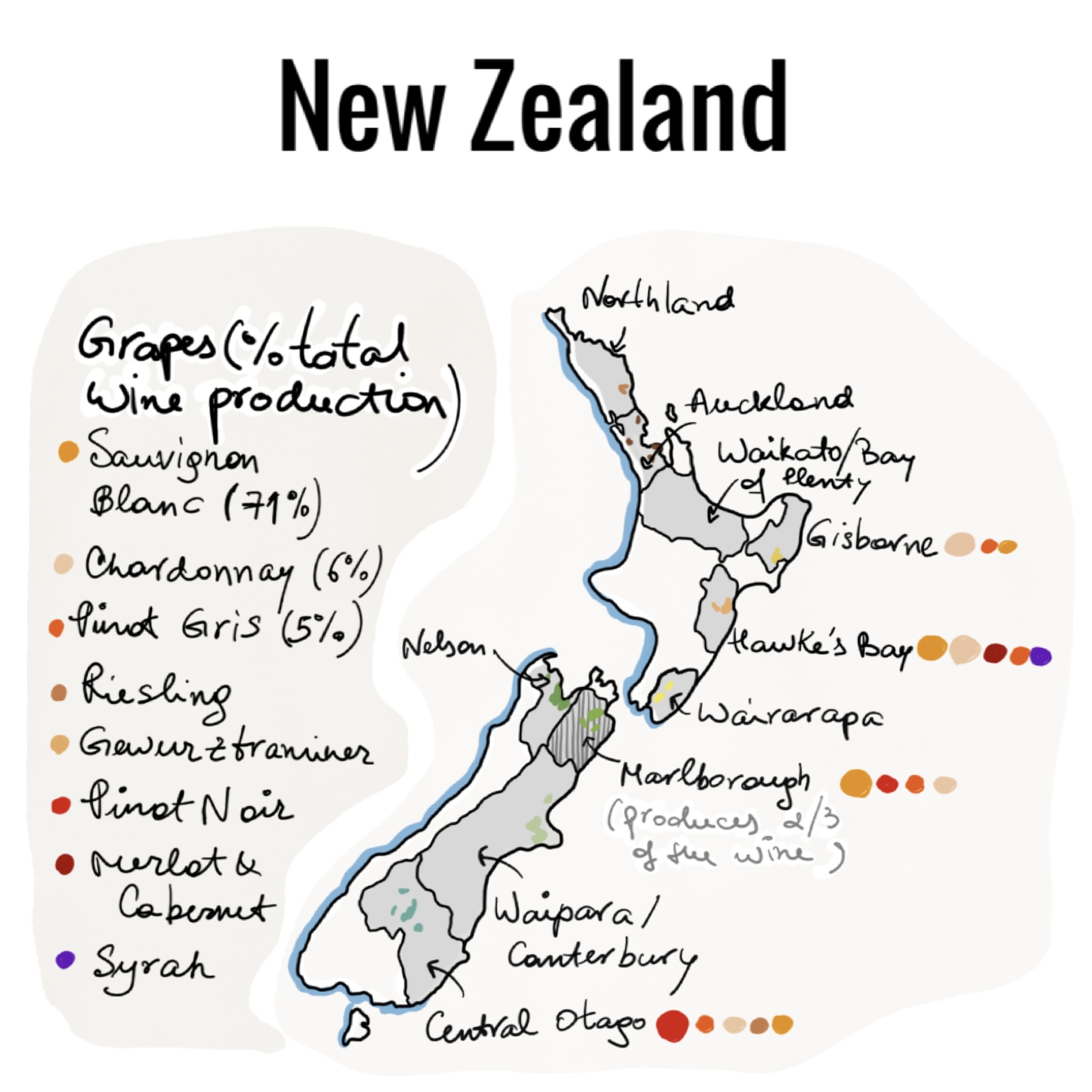 new zealand, new zealand wine, kiwi, kiwi wine, marlborough, sauvignon blanc, pinot noir,