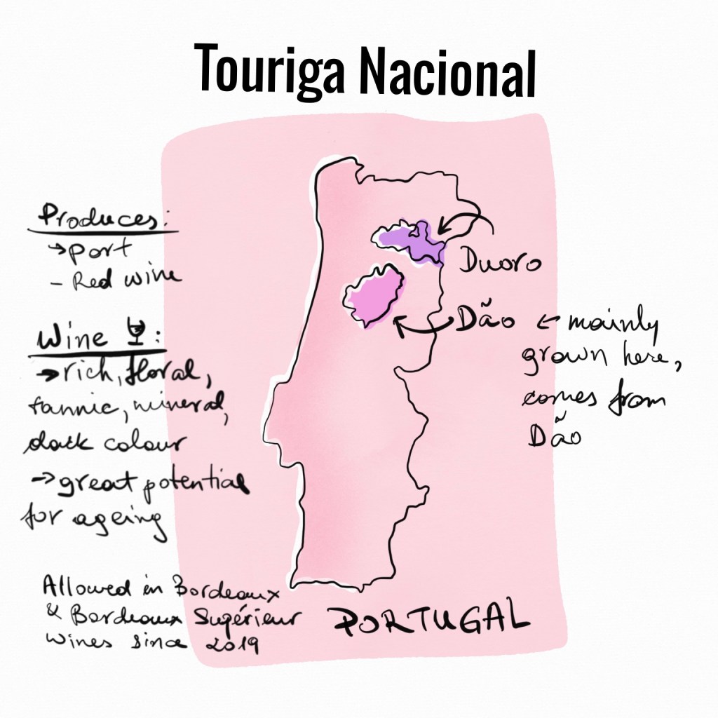 touriga nacional, portugal, port, portuguese port, dao, duoro, duor