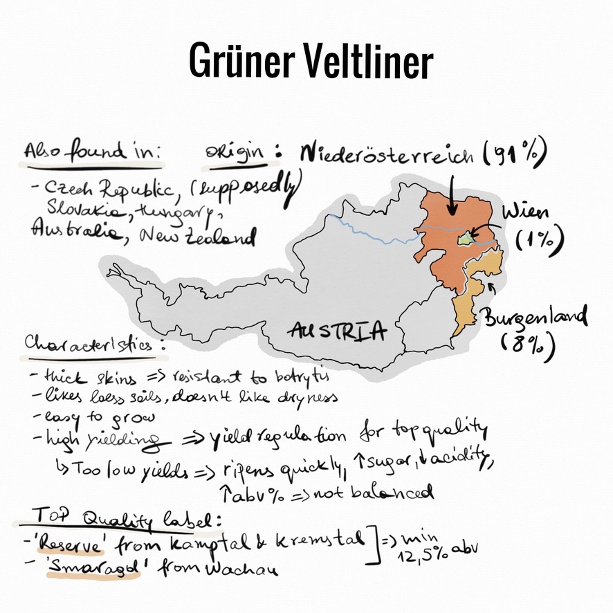 gruner veltliner, autria, austrian wine,