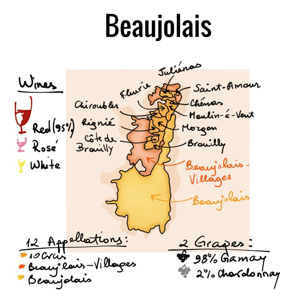 beaujolais, beaujolais nouveau, gamay, chardonnay, burgundy