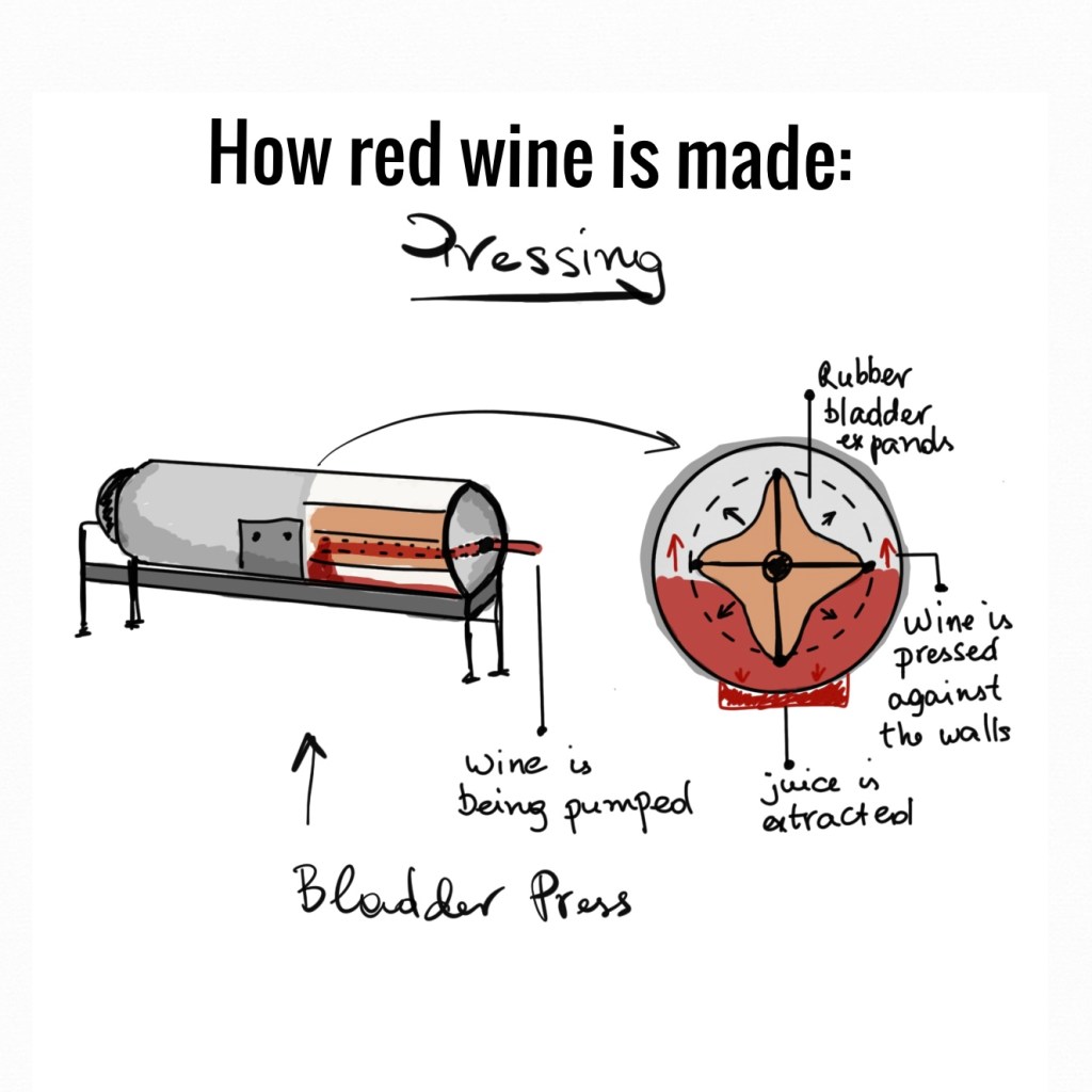 how red wine is made, red wine, pressing,