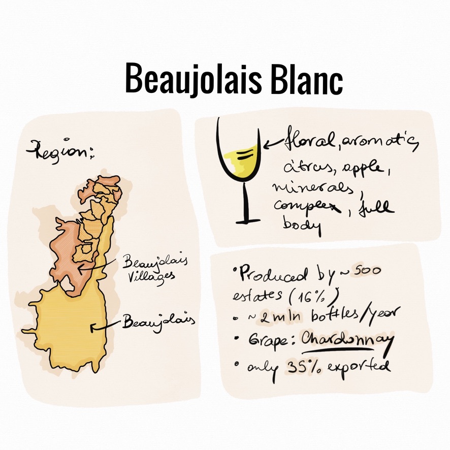 beaujolais, beaujolais nouveau, gamay, chardonnay, burgundy, b