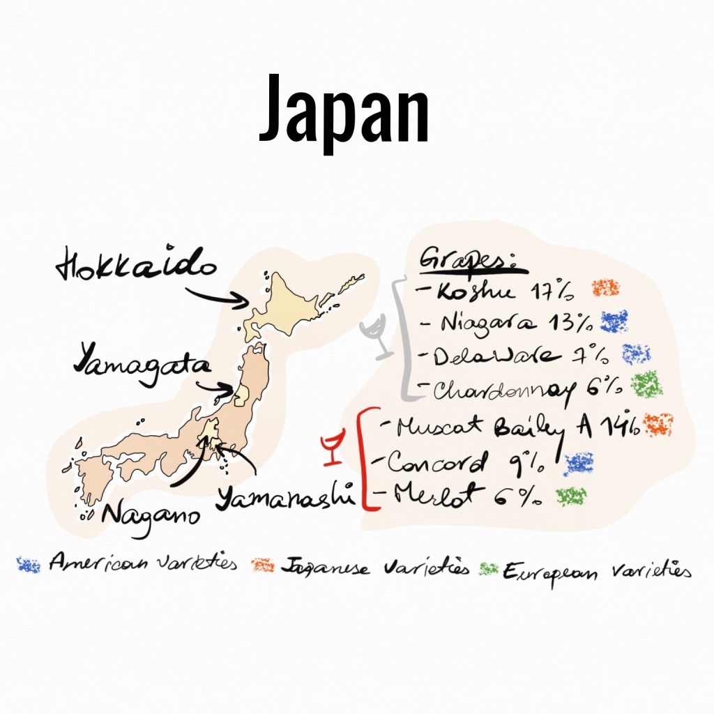 japan, wine, japan wine, japanese wine, koshu, muscat bailey A, concord, merlot, chardonnay, niagara