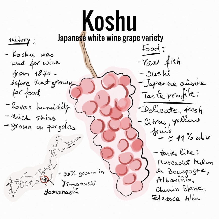 koshu, japanese grapes, japanese wine, wine, white wine